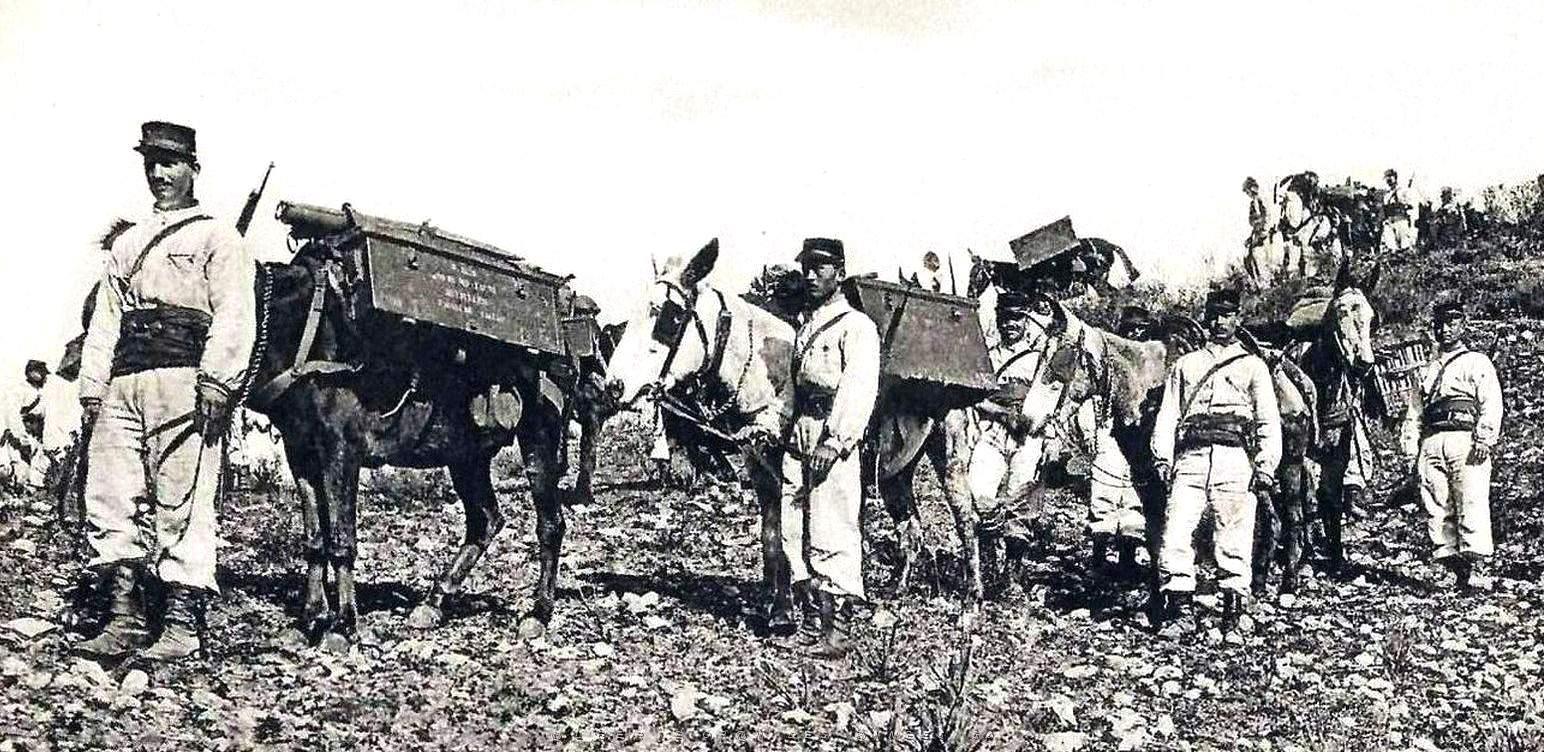 1789- Algerie - Artillerie2 de montagne.jpg